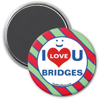 I Love U BRIDGES Smile Fun Magnet
