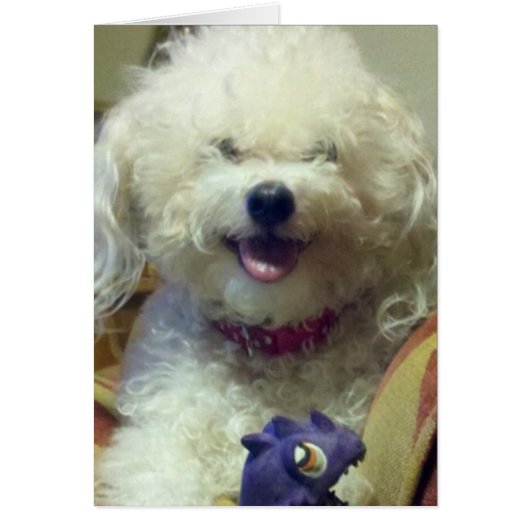 I LOVE U MORE THAN MY FAV TOY (Front)