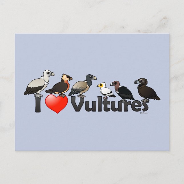 I Love Vultures (Eurasia) Postcard (Front)