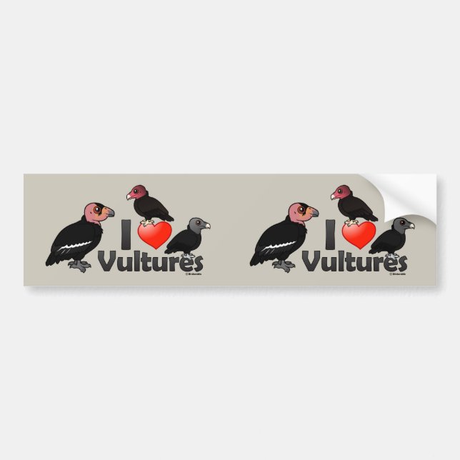 I Love Vultures (North America) Bumper Sticker (Front)