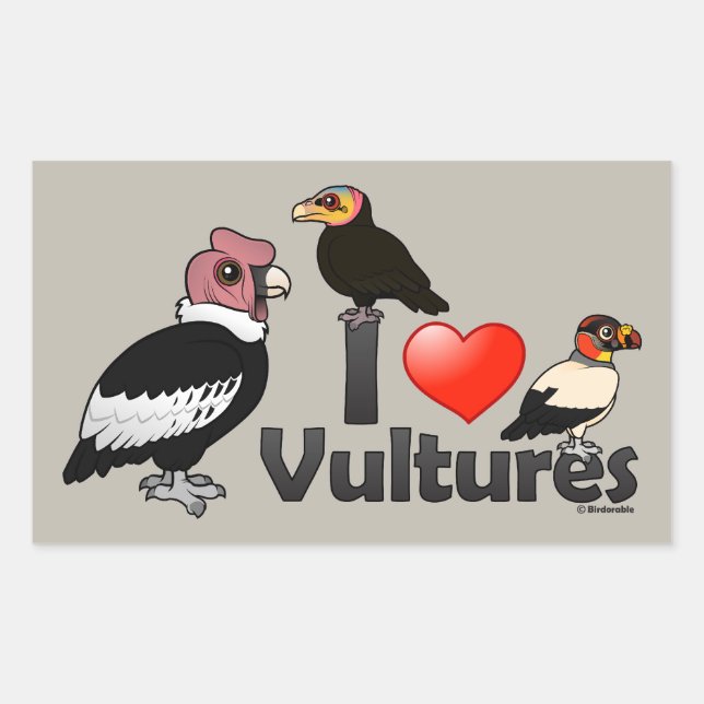 I Love Vultures (South America) Rectangular Sticker (Front)