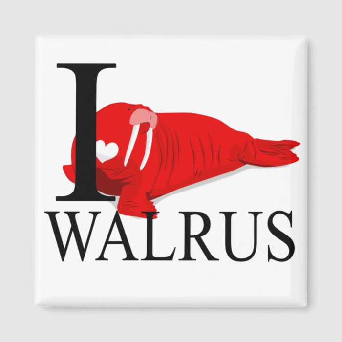 I Love Walrus Magnets