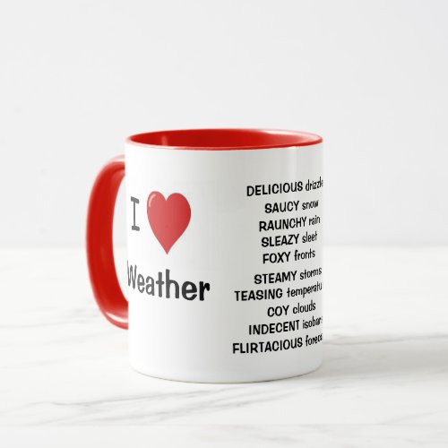 I Love Weather _ Funny Meteorologist Quote Reasons Mug