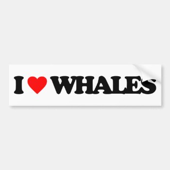 I Love Whales Bumper Sticker by i_love_it at Zazzle
