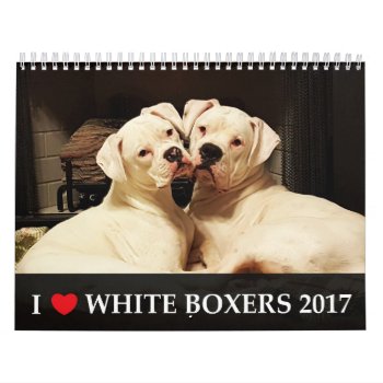 I Love White Boxers 2017 Calendar by WestCoastBoxerRescue at Zazzle