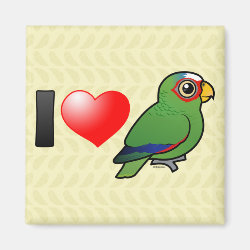 I Love White-fronted Amazons Square Magnet