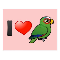 I Love White-fronted Amazons Postcard
