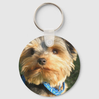 I Love Yorkies Keychain