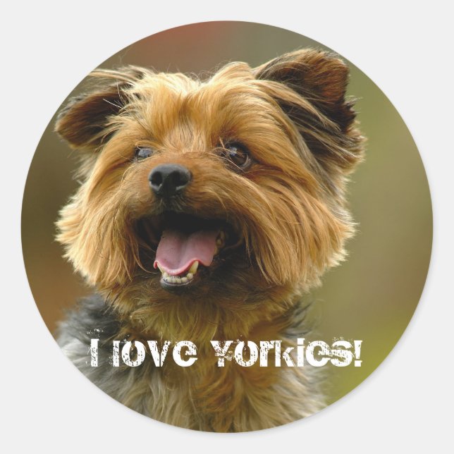 I love Yorkies! Sticker (Front)