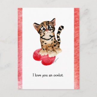 I Love You An Ocelot Postcard