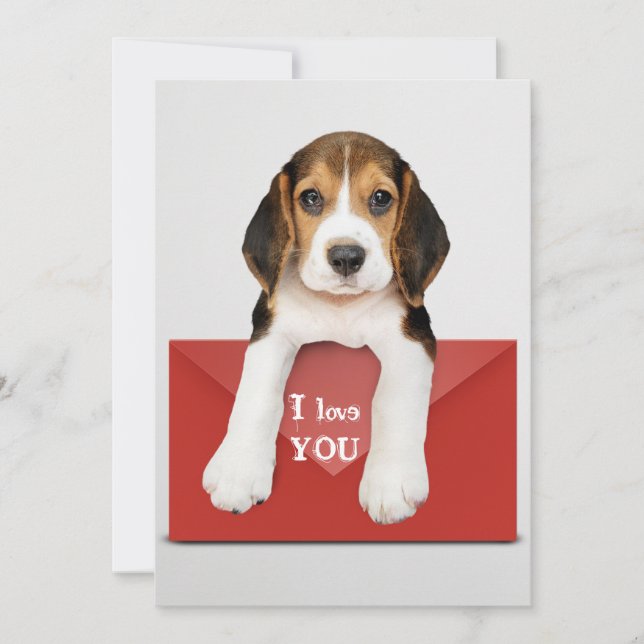 I Love You... Beagle Puppy Card (Front)