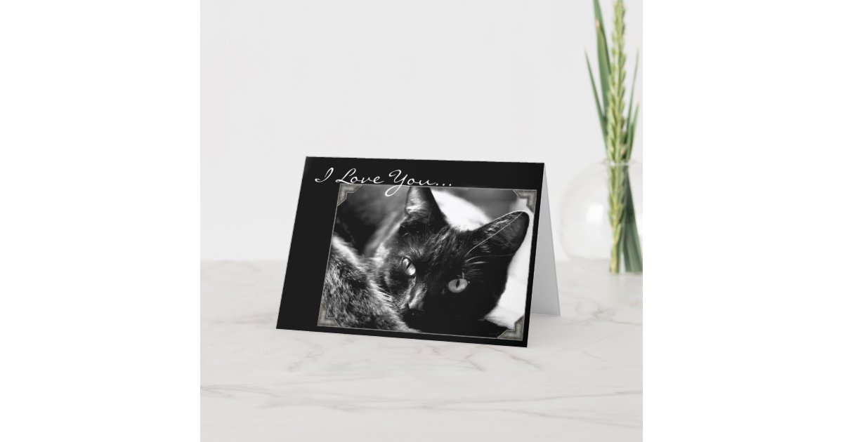 I Love You Black cat greeting card | Zazzle