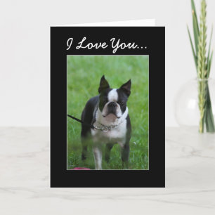 I Love you Boston Terrier greeting card