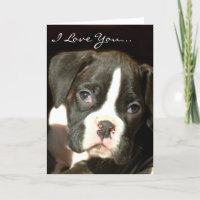 I Love You boxer puppy greeting card