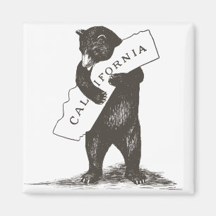 I Love You California Magnet