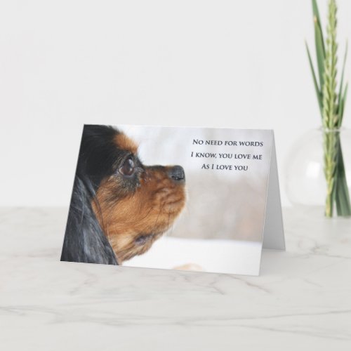 I Love You Cavalier King Charles Spaniel Card