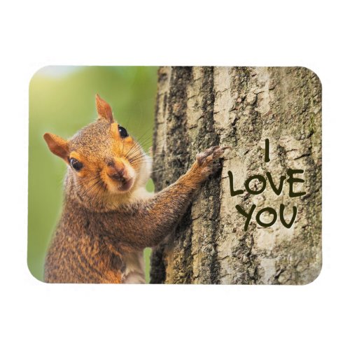 I Love You Cute Squirrel Climbing Tree Photograph Magnet