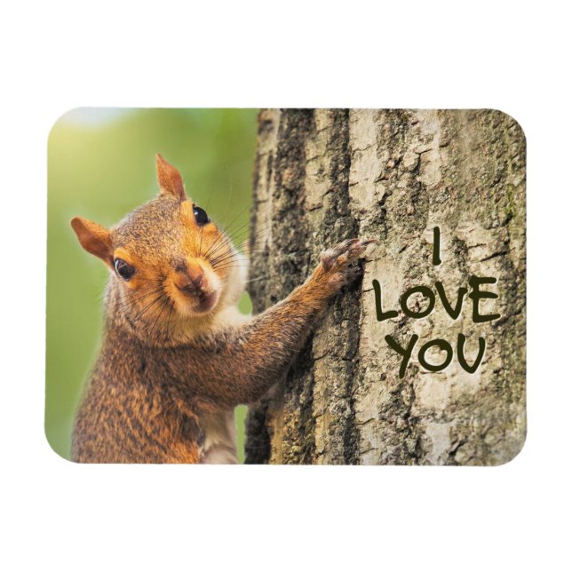 I Love You Cute Squirrel Climbing Tree Photograph Magnet (Horizontal)