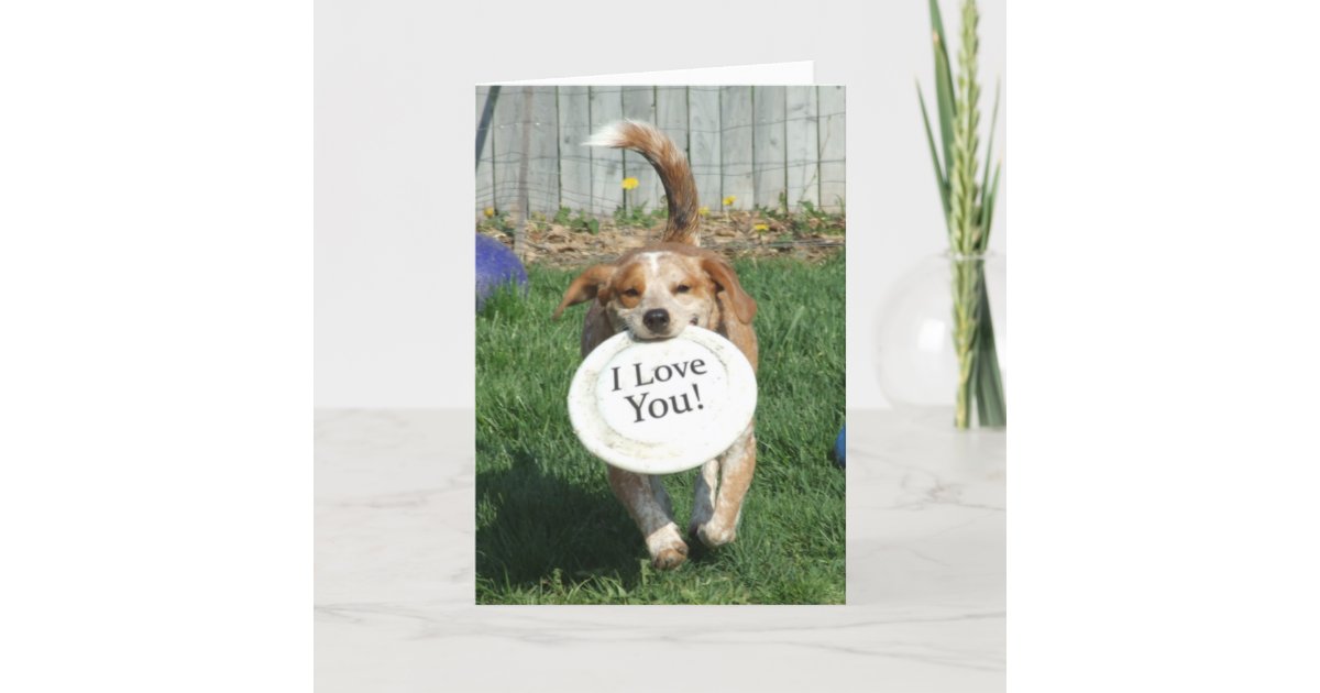 I Love You Dog Greeting Card | Zazzle