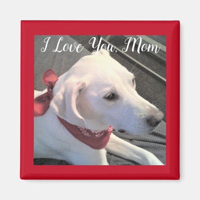 I Love you Dog Mom white Labrador Retriever Mix Magnet (Front)