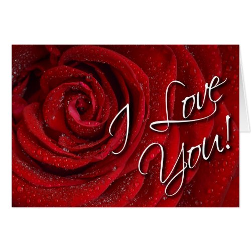 I Love You Elegant Red Rose Card _ Blank Inside
