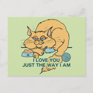 I Love You Funny Cat Graphic Saying Postcard