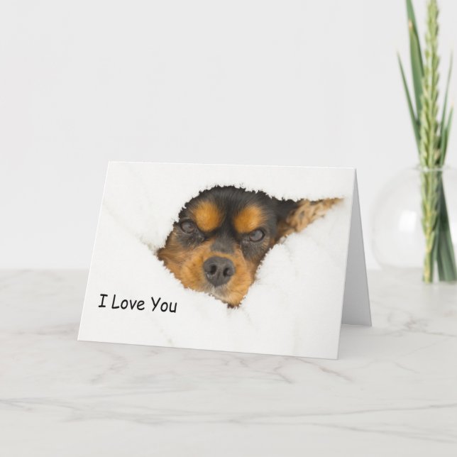 I Love You King Charles Spaniel Peeking Out Card (Front)