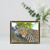 I Love You Leopard Photo Postcard (Standing Front)