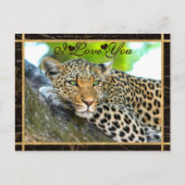 I Love You Leopard Photo Postcard (Front)