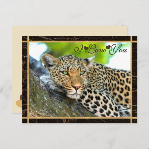I Love You Leopard Photograph Postcard