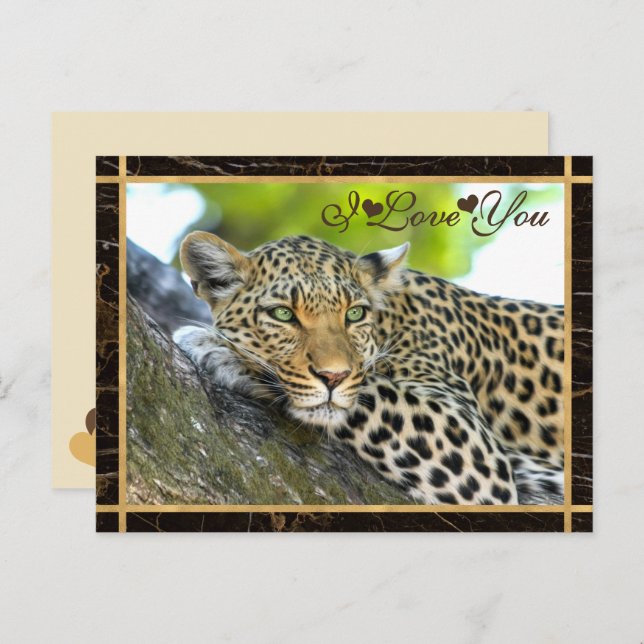 I Love You Leopard Photograph Postcard (Front/Back)