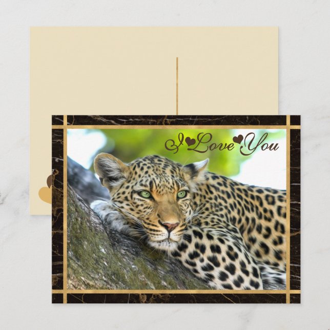 I Love You Leopard Photograph Postcard (Front/Back)