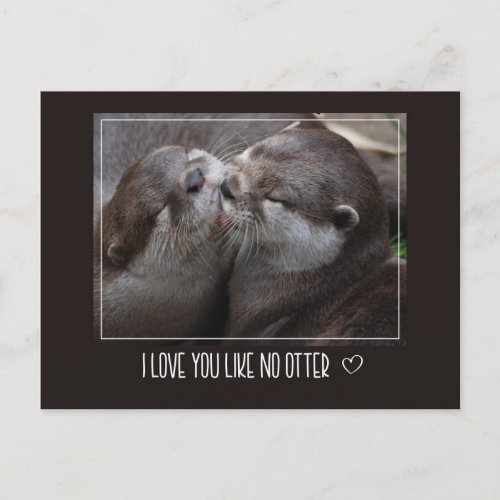I Love You Like No Otter Cute Photo Postcard