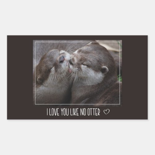 I Love You Like No Otter Cute Photo Rectangular Sticker
