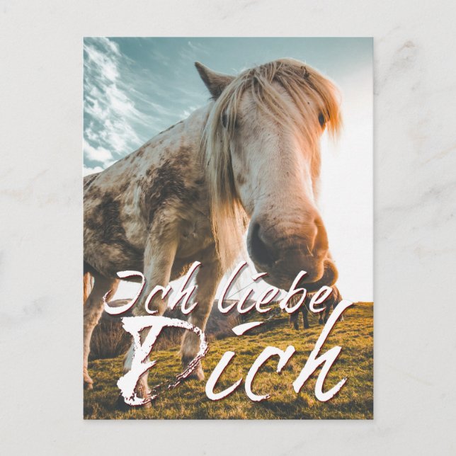 I love you looking horse holiday postcard (Front)