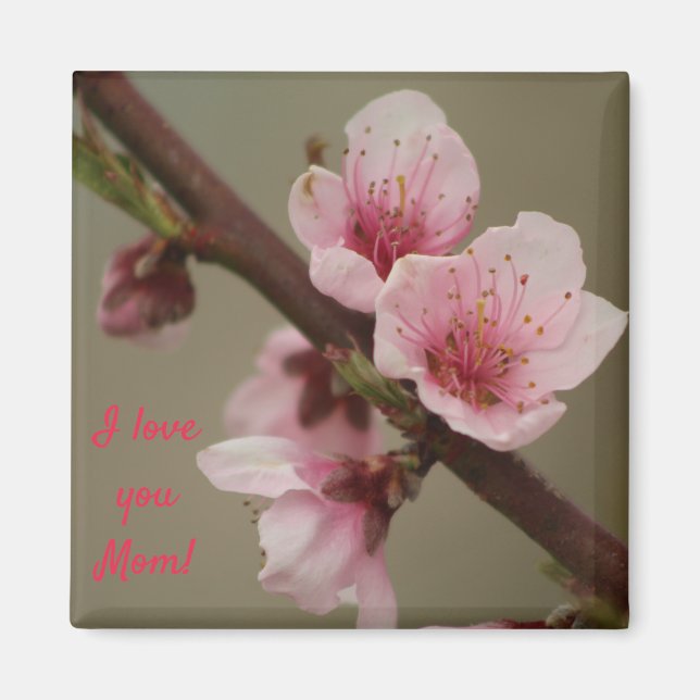 I love you Mom! pink blossom magnet (Front)