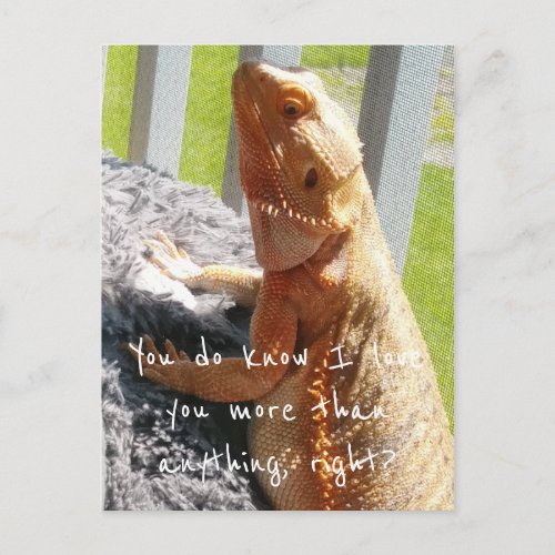 I love you more than anything Cute Bearded Dragon Postcard