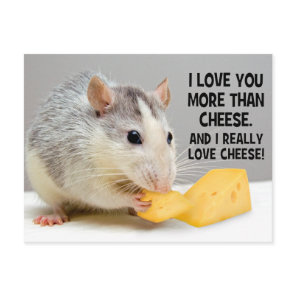 I Love You More Than Cheese Pet Rat Postcard