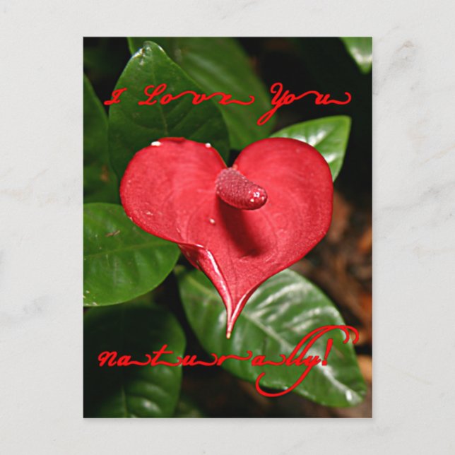 I Love You Naturally! - Valentine's Day + Meanings Holiday Postcard (Front)