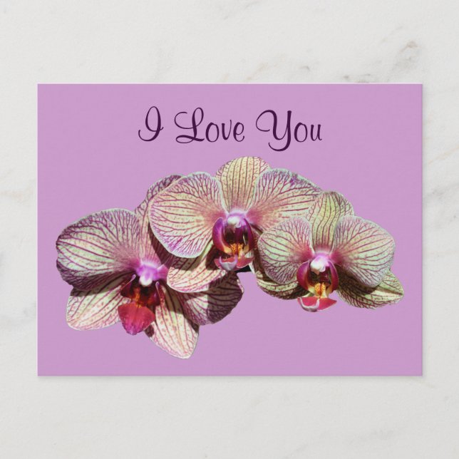 I Love You Orchid Trio Flower Photo Postcard (Front)