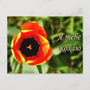 I Love you postcard
