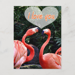 I Love You_ Postcard