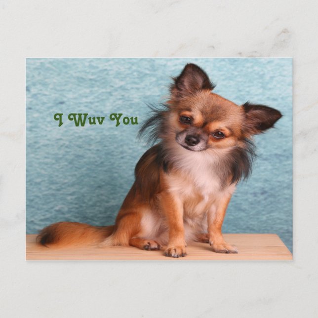 I love you puppy Dog greetings Postcard (Front)