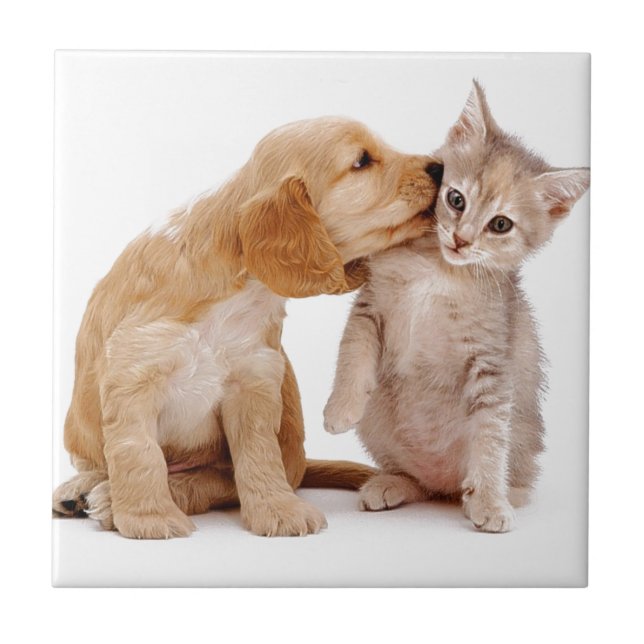 I Love You!  Puppy Kisses Surprised Kitten! Tile (Front)