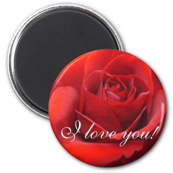 "i Love You" Roses Magnet by sharpcreations at Zazzle