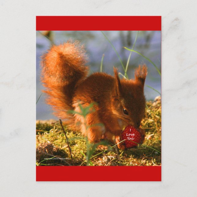 I Love You Strawberry Postcard (Front)