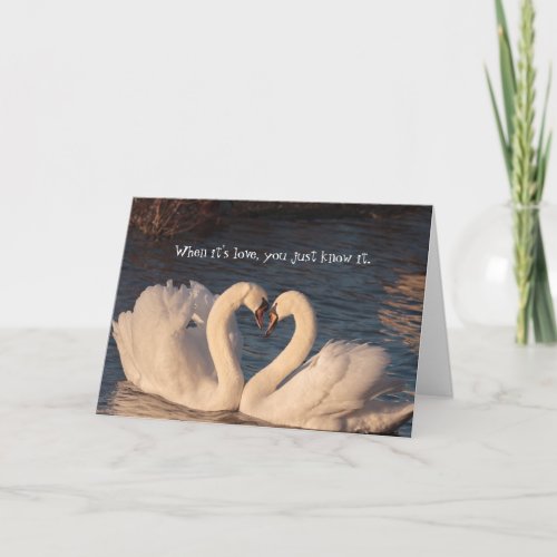 I Love You Swan Heart Anniversary Card