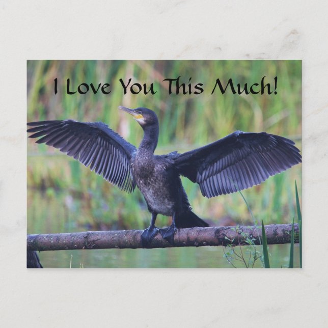 I Love You This Much - Cormorant Postcard (Front)