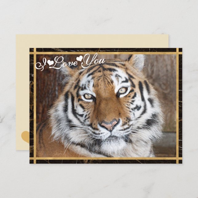 I Love You Tiger Photo Image Postcard (Front/Back)