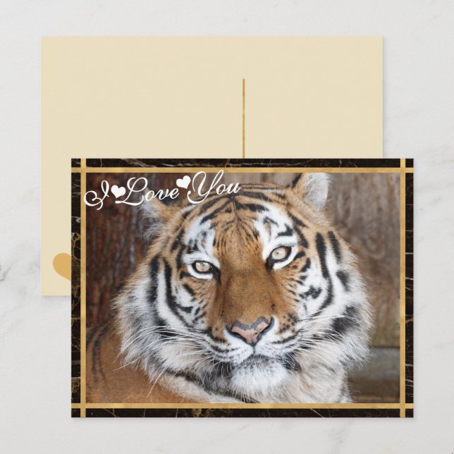 I Love You Tiger Photo Image Postcard (Front/Back)